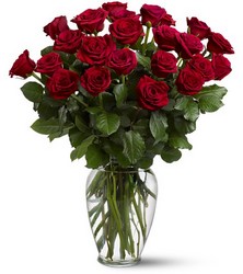 Two Dozen Red Roses from McIntire Florist in Fulton, Missouri