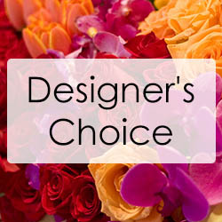 Valentine's Day Designer's Choice