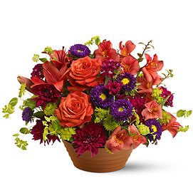 Autumn Celebration from McIntire Florist in Fulton, Missouri