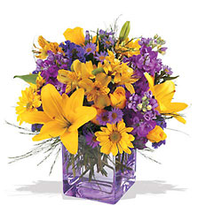 Teleflora's Morning Sunrise Bouquet from McIntire Florist in Fulton, Missouri