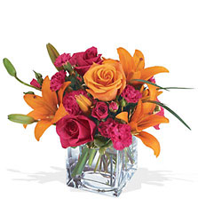 Teleflora's Uniquely Chic Bouquet from McIntire Florist in Fulton, Missouri