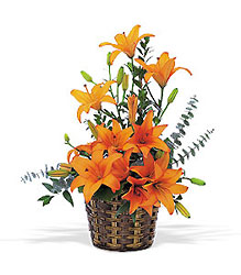 Orange Asiatic Basket from McIntire Florist in Fulton, Missouri