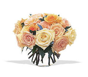 Perfect Pastel Roses from McIntire Florist in Fulton, Missouri Perfect Pastel Roses from McIntire Florist in Fulton, Missouri