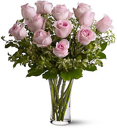 A Dozen Pink Roses from McIntire Florist in Fulton, Missouri