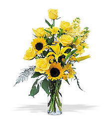 Blazing Sunshine from McIntire Florist in Fulton, Missouri